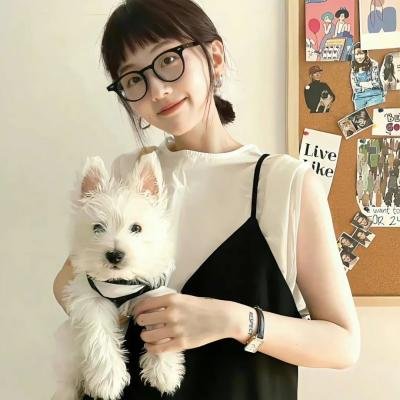 我的英雄学院：两位英雄